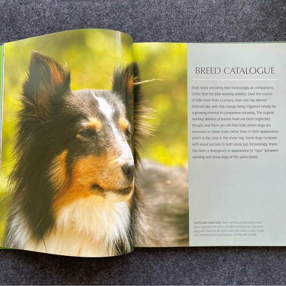 The Ultimate Guide to Dogs Hardcover - Picture 5 of 9